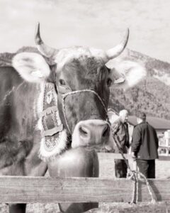 Monatsbilder 2025/26